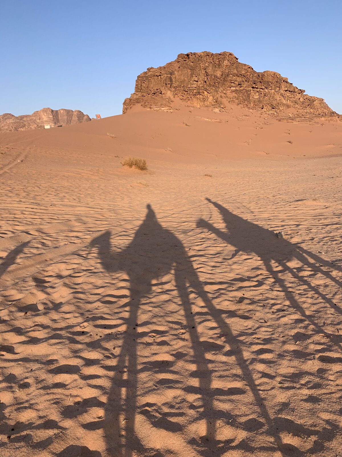Shadows of two travelers riding camels stretched across the red sand of Wadi Rum, Jordan