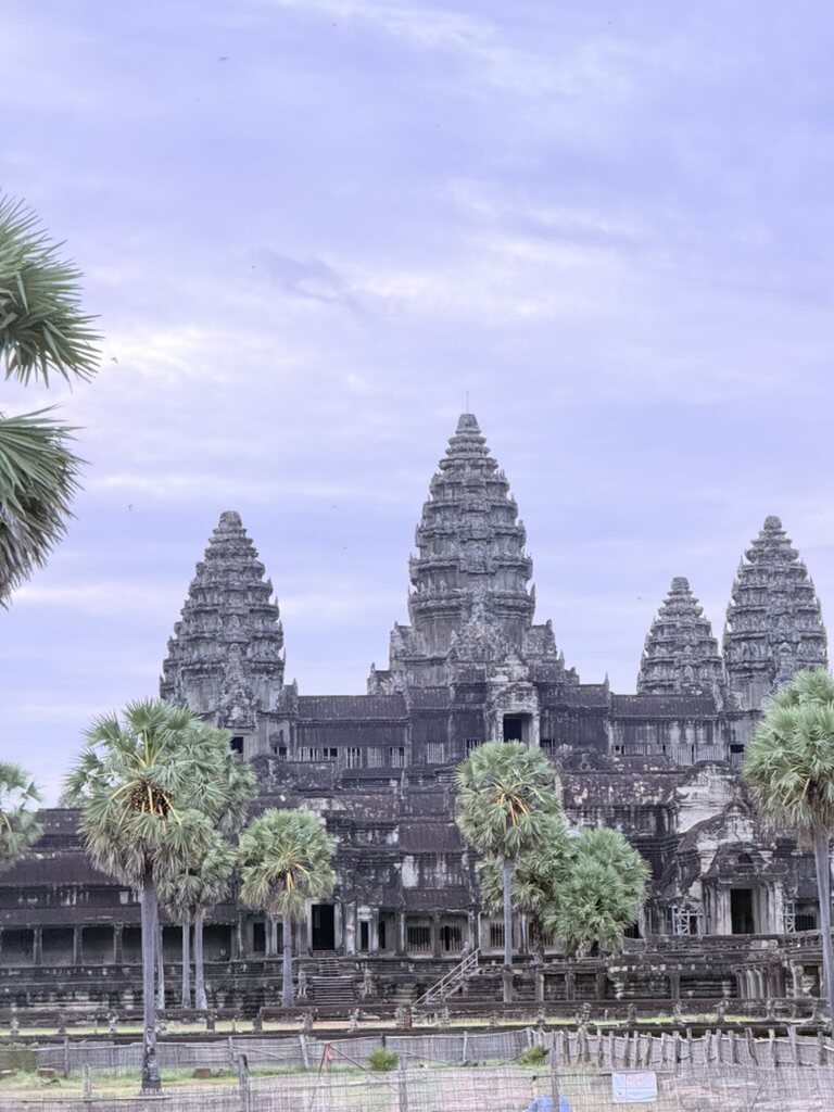 Angkor Wat's towers rising behind sugar palms at first light, Cambodia